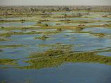 Africa 246 : Aerial View, Africa, Botswana, Mombo, Okavango, Travel